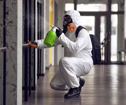 Reliable Lamesa, TX Mold Removal Solutions